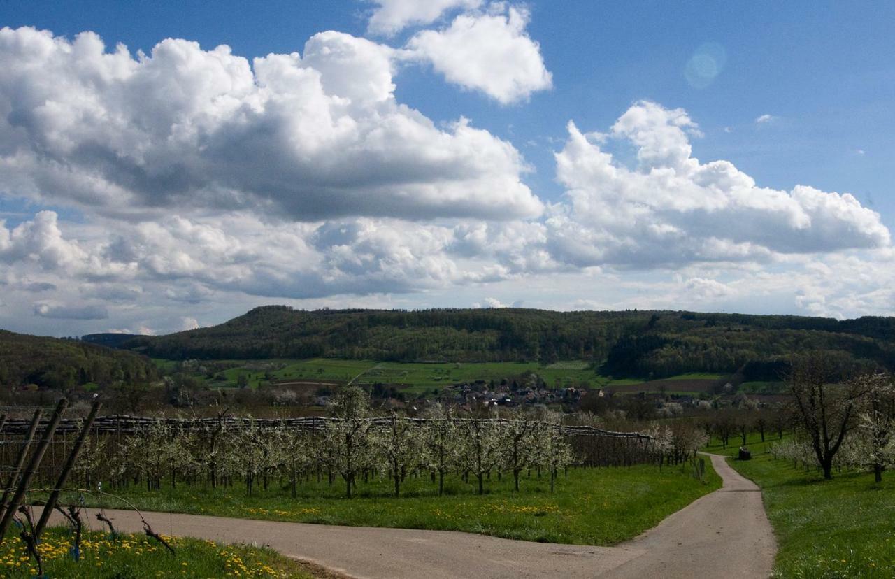 Ferienhaus Suedbaden Villa Schliengen Buitenkant foto